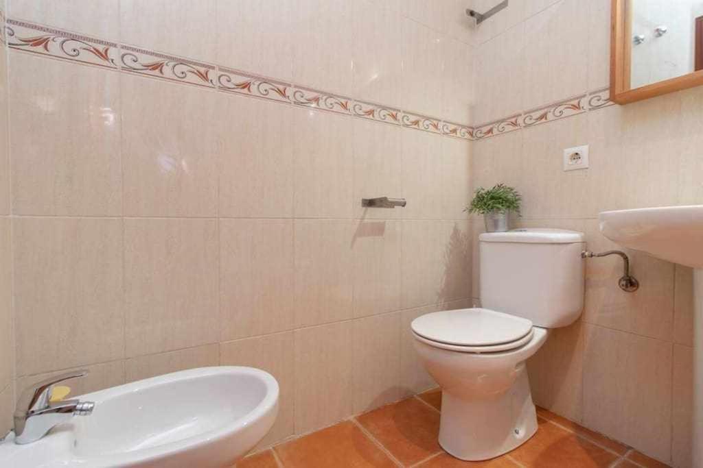 Aceite Duplex En El Centro Historico De Malaga Apartamento Exterior foto